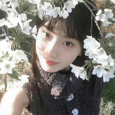 青镜行第一季